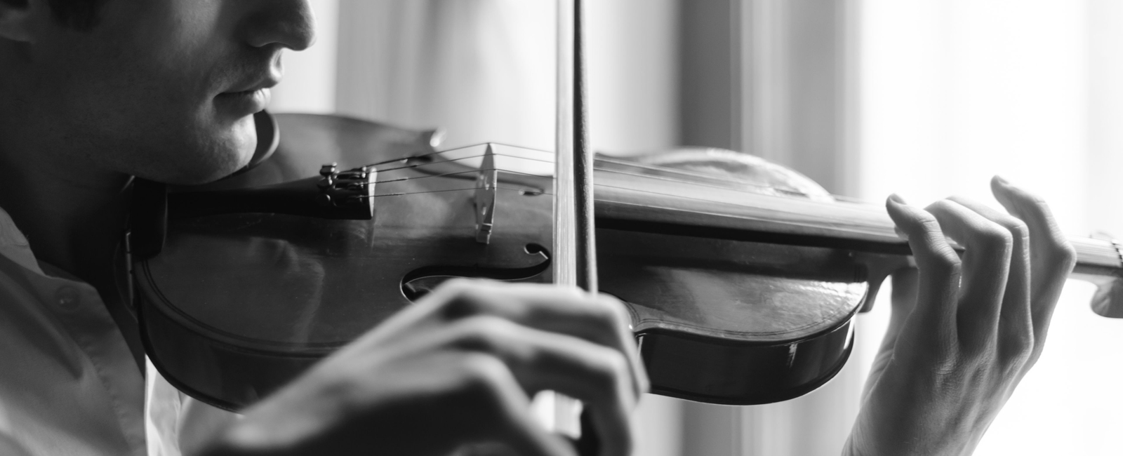 Bellafina header