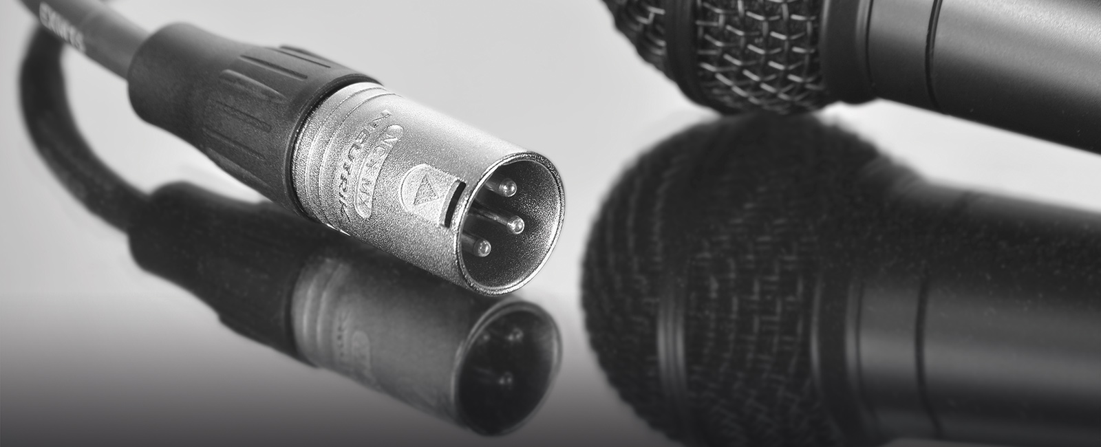 Live Wire Header