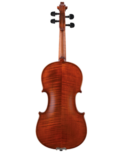 Bellafina Roma Select Violin back