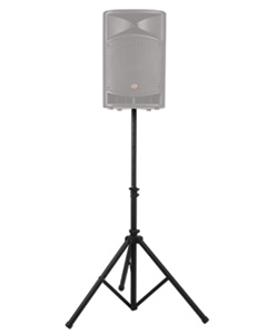 Proline PLSPK2 speaker tall