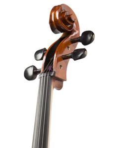 Bellafina Corelli Cello headstock