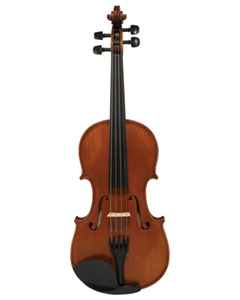 Bellafina Domenico Violin front