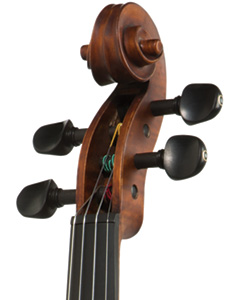 Bellafina Domenico Violin head stock