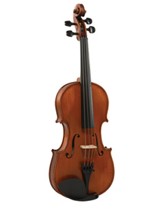 Bellafina Domenico Violin right