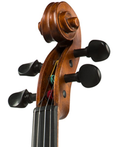 Bellafina Niccolo Violin head stock