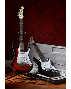 Mitchell Electric Guitars TD400 Series