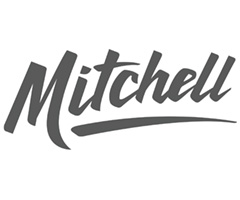Mitchell Guitars Logo White