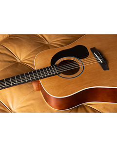 Mitchell D100NT