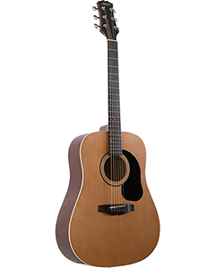 Mitchell D100NT