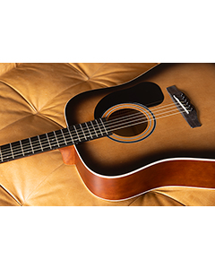 Mitchell D100SB