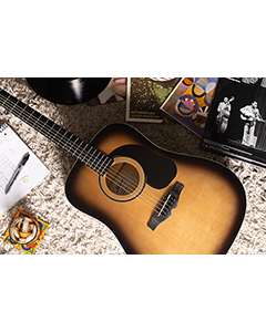 Mitchell D100SB