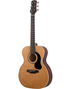 Mitchell O100JRNT