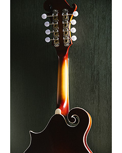 Mitchell FM200VB