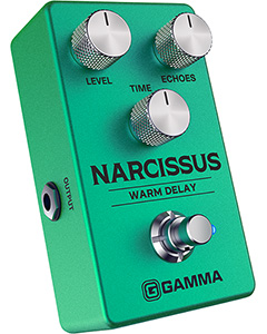 GAMMA NARCISSUS