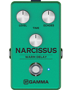 GAMMA NARCISSUS