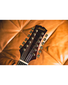 Mitchell D20012ENT12