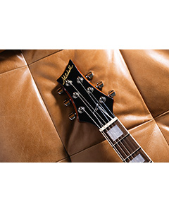Mitchell Guitars MS480CB