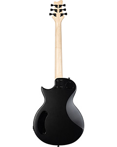 Rogue RR2PKBK
