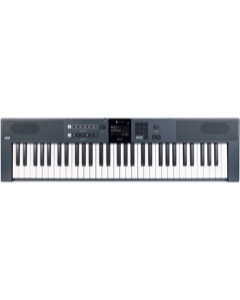 Williams Aeris 61 Slate
