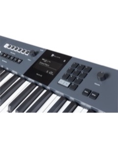 Williams Aeris 61 Slate