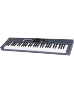 Williams Aeris 61 Slate