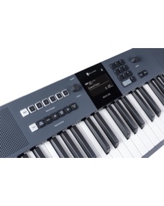Williams Aeris 61 Slate