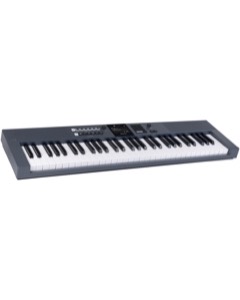Williams Aeris 61 Slate