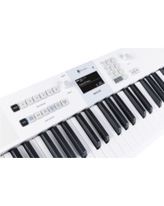 Williams Aeris 61 White